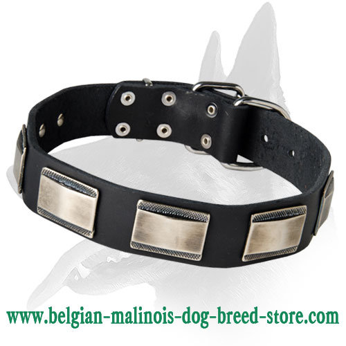Fabulous Leather Collar With Nickel Plates