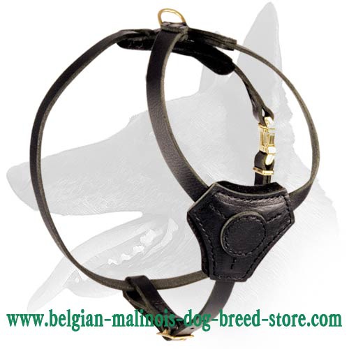 Small Leather Harness for Belgian Malinois Puppy