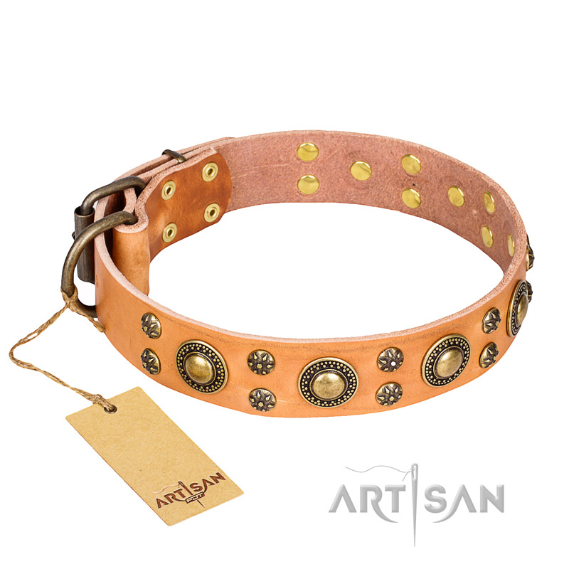 'Sophisticated Glamor' FDT Artisan Tan Leather Belgian Malinois Collar with Fancy Old-Bronze Plated Decorations