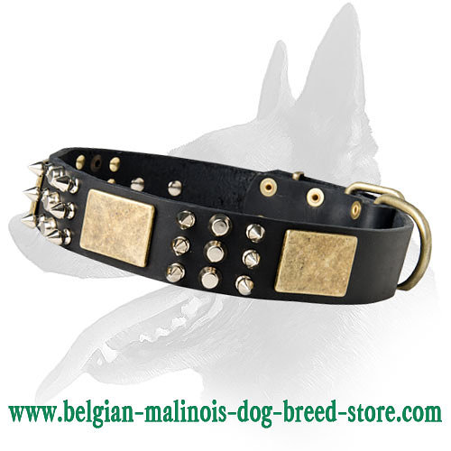 Deluxe Leather Collar With Antique Plates, Cones and Spikes