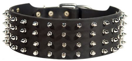 most durable dog collar