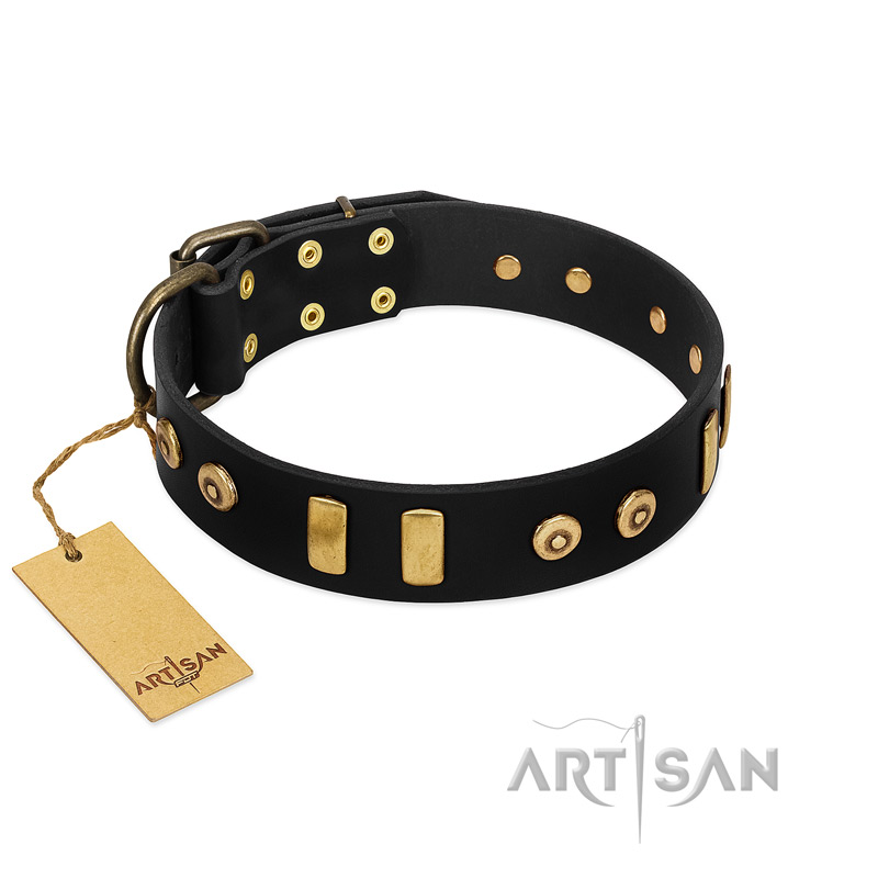 "Rare Dog" FDT Artisan Black Leather Belgian Malinois Collar with Old Bronze-like Dotted Studs and Tiles