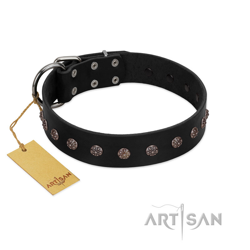 "Flower Rhapsody" FDT Artisan Premium Quaulity Black Leather Belgian Malinois Collar