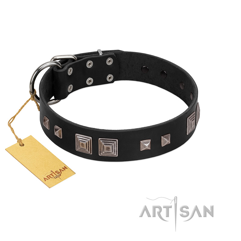 "Foregone Riches" FDT Artisan Black Leather Belgian Malinois Collar with Old Silver-like Square Studs and Pyramids