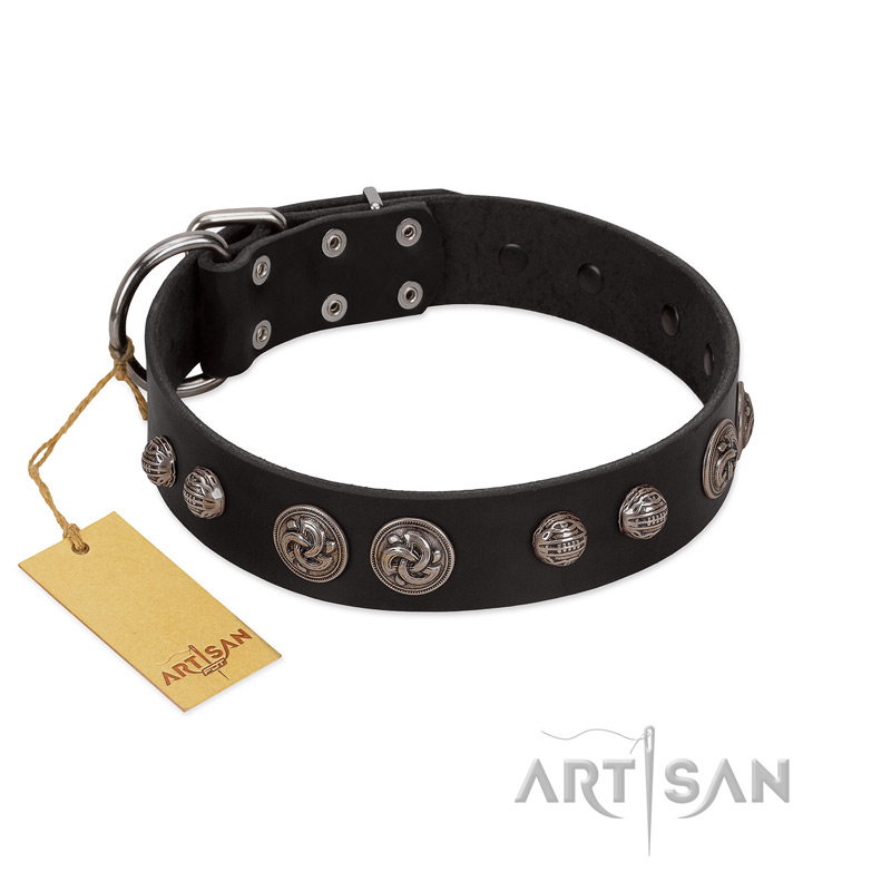 "Tricky Ricky" FDT Artisan Black Leather Belgian Malinois Collar Adorned with Silver-Like Conchos