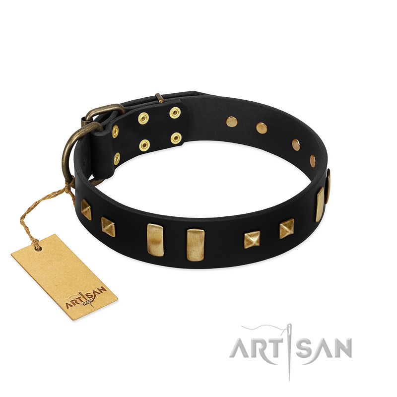 "Fit for Royalty" FDT Artisan Black Leather Belgian Malinois Collar with Plates and Small Square Studs