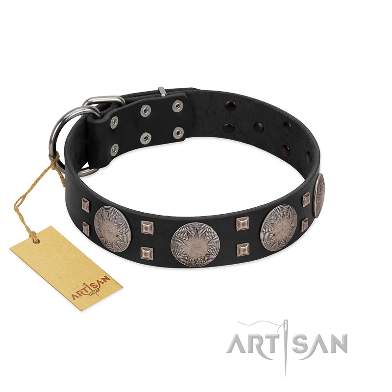 "Sun in Shining" Modern FDT Artisan Black Leather Belgian Malinois Collar with Studs and Stars