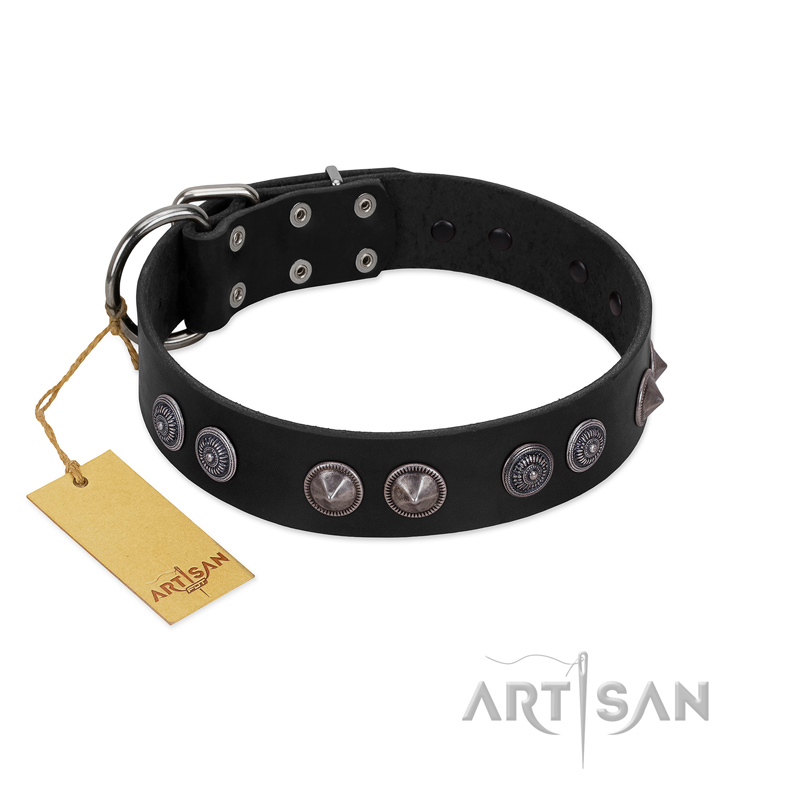 "Silver Medallions" Mod FDT Artisan Black Leather Belgian Malinois Collar with Round Plates