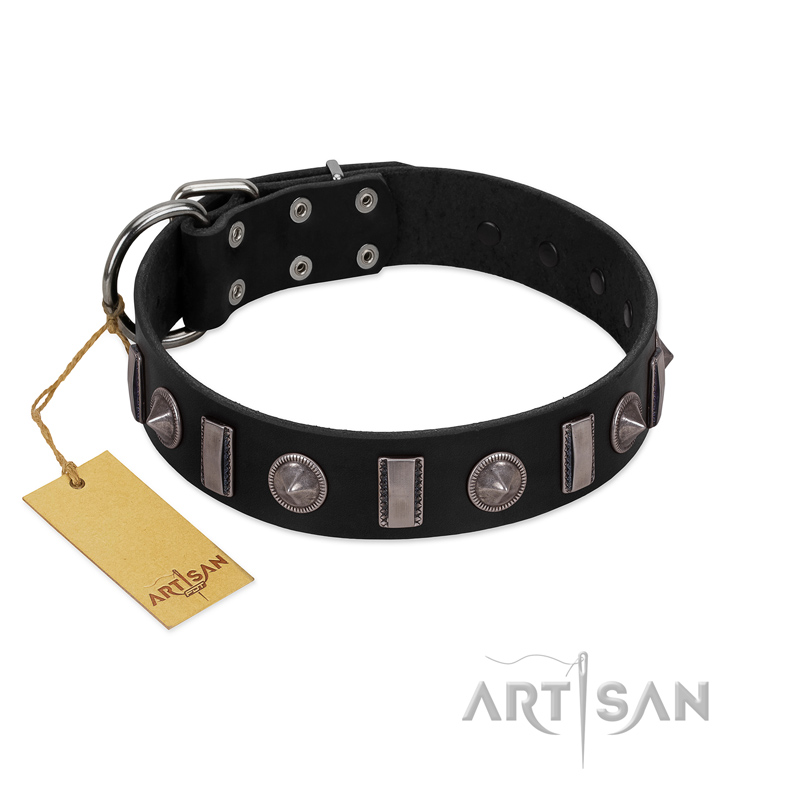 "Silver Spikes" Exclusive FDT Artisan Black Leather Belgian Malinois Collar - Click Image to Close