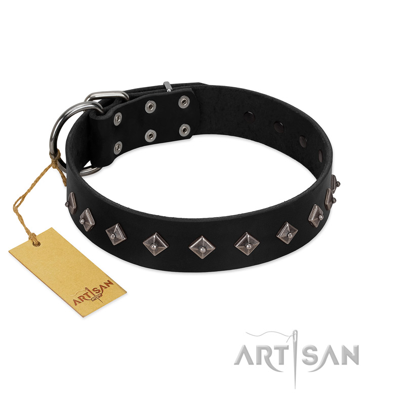 "Immense Power" Handcrafted FDT Artisan Black Leather Belgian Malinois Collar with Small Dotted Pyramids
