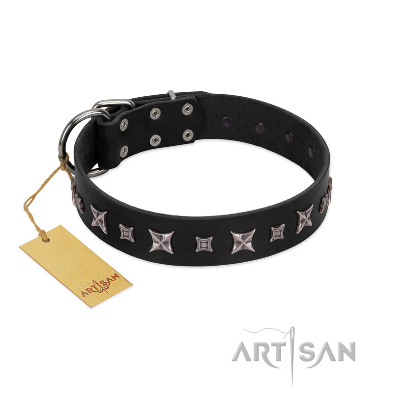 "Polar Lights" Designer FDT Artisan Black Leather Belgian Malinois Collar with Silver-Like Studs