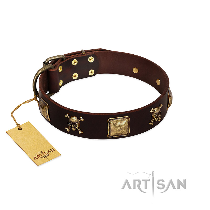 "Crazy Pirate" FDT Artisan Brown Leather Belgian Malinois Collar with Old Bronze-Plated Skulls and Plates