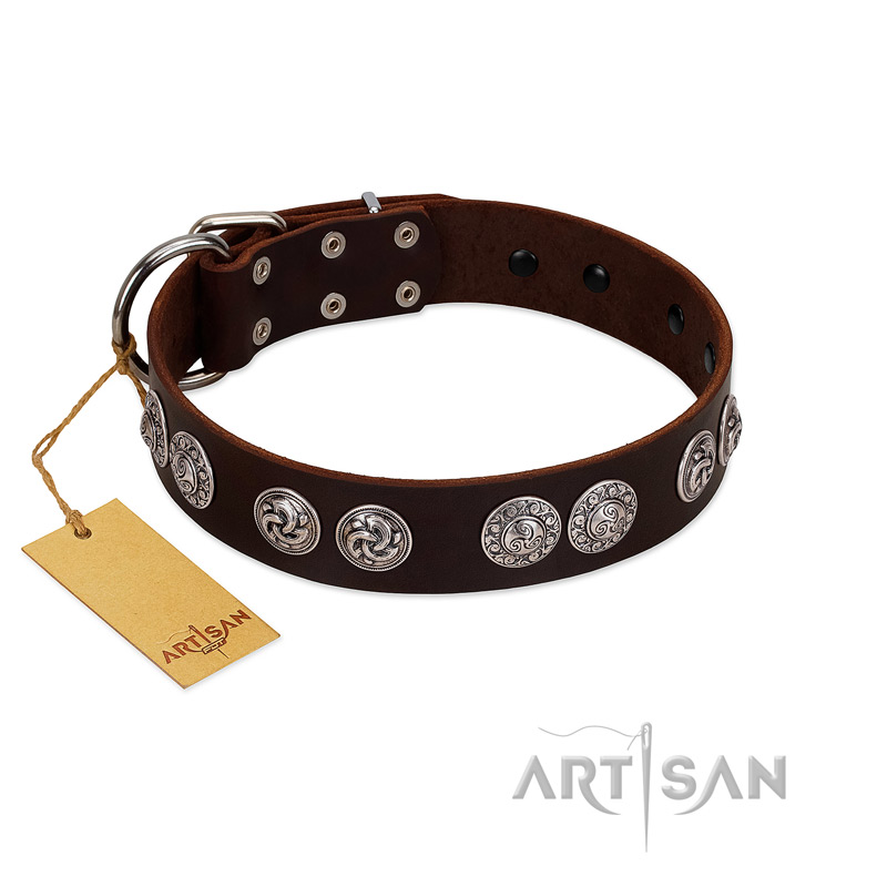 "High and Mighty" FDT Artisan Classy Brown Leather Belgian Malinois Collar with Embellished Brooches