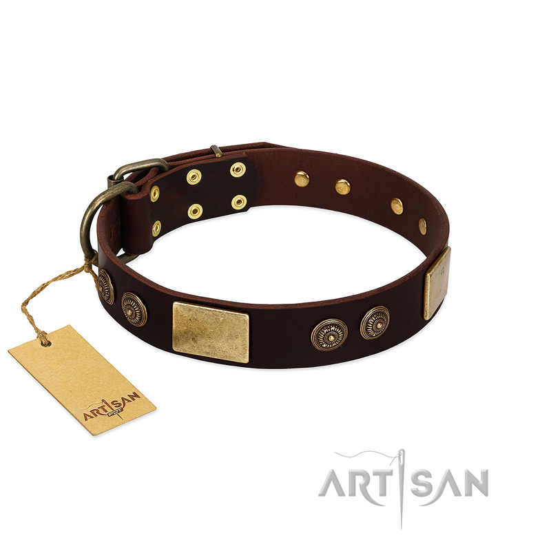 "Bow-Wow Effect" FDT Artisan Brown Leather Belgian Malinois Collar with Plates and Ornate Studs - Click Image to Close