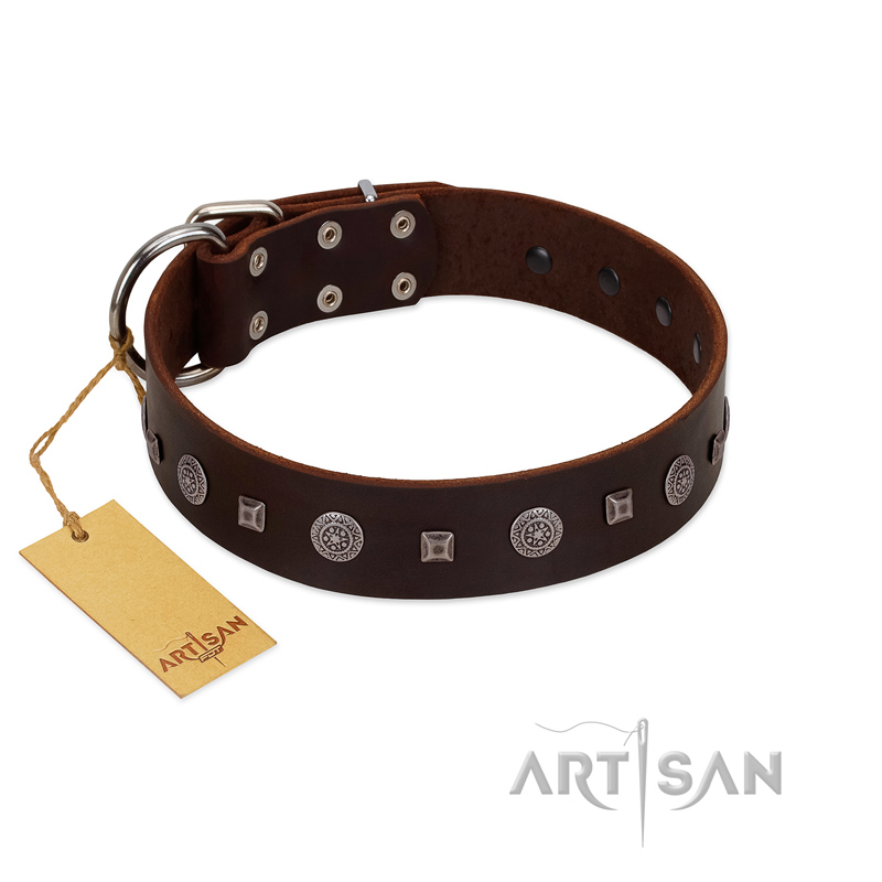 "Pure Sensation" Exclusive FDT Artisan Brown Leather Belgian Malinois Collar with Fancy Brooches and Studs