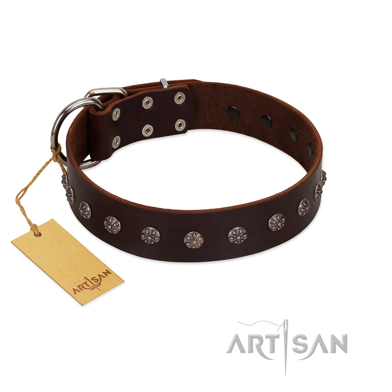 "Graceful Classic" Mod FDT Artisan Brown Leather Belgian Malinois Collar