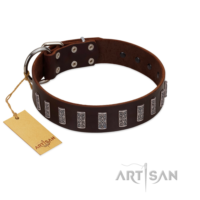 "Brown Lace" Handmade FDT Artisan Brown Leather Belgian Malinois Collar for Everyday Walks