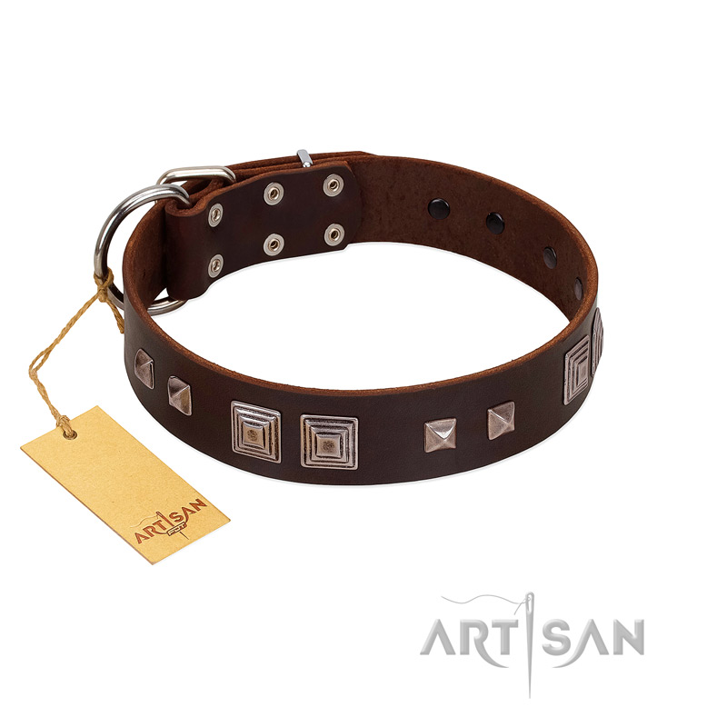"Object of Virtu" FDT Artisan Brown Leather Belgian Malinois Collar with Old Silver-like Square Studs and Pyramids