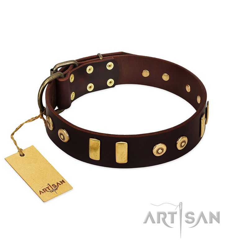 "Lord of Dogs" FDT Artisan Brown Leather Belgian Malinois Collar with Old Bronze-like Dotted Studs and Tiles