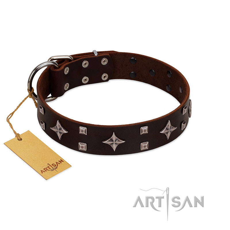 "Trendy Candy" FDT Artisan Brown Leather Belgian Malinois Collar Adorned with Stars and Tiny Squares