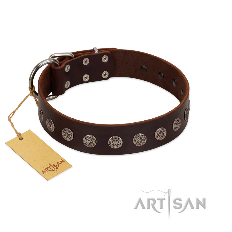 "Starry-Eyed" Best Quality FDT Artisan Brown Designer Leather Belgian Malinois Collar with Small Plates