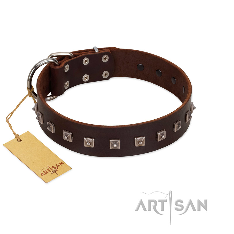 "Kingly Grace" FDT Artisan Brown Leather Belgian Malinois Collar with Silver-like Dotted Studs - Click Image to Close