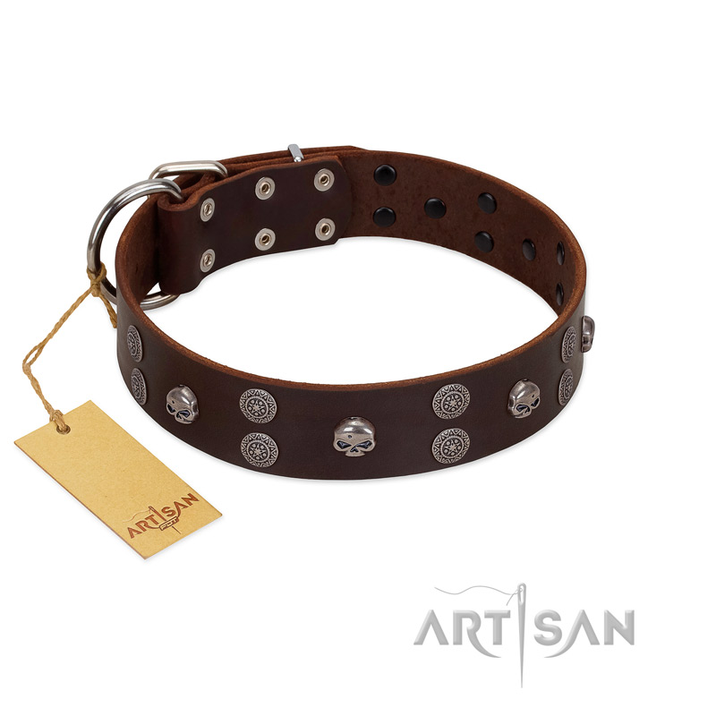 "Skull Valley" Handcrafted FDT Artisan Brown Leather Belgian Malinois Collar with Skulls