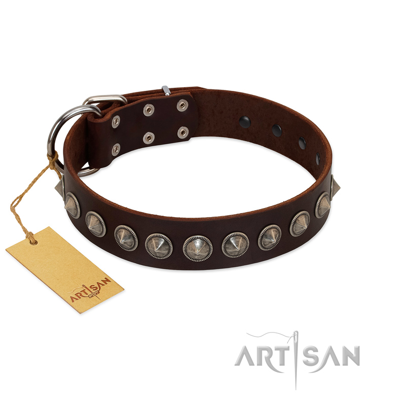"Gothic Style" FDT Artisan Fancy Brown Leather Belgian Malinois Collar with Silver-Like Decorations