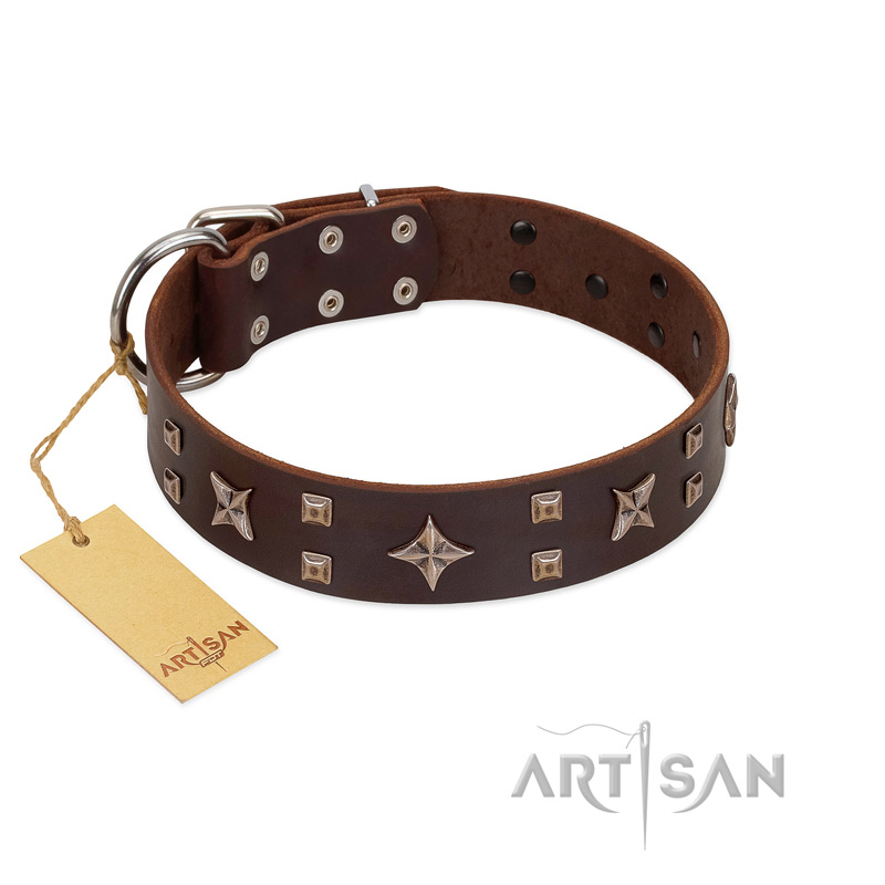 "Stars in Sands" Modern FDT Artisan Brown Leather Belgian Malinois Collar with Studs and Stars