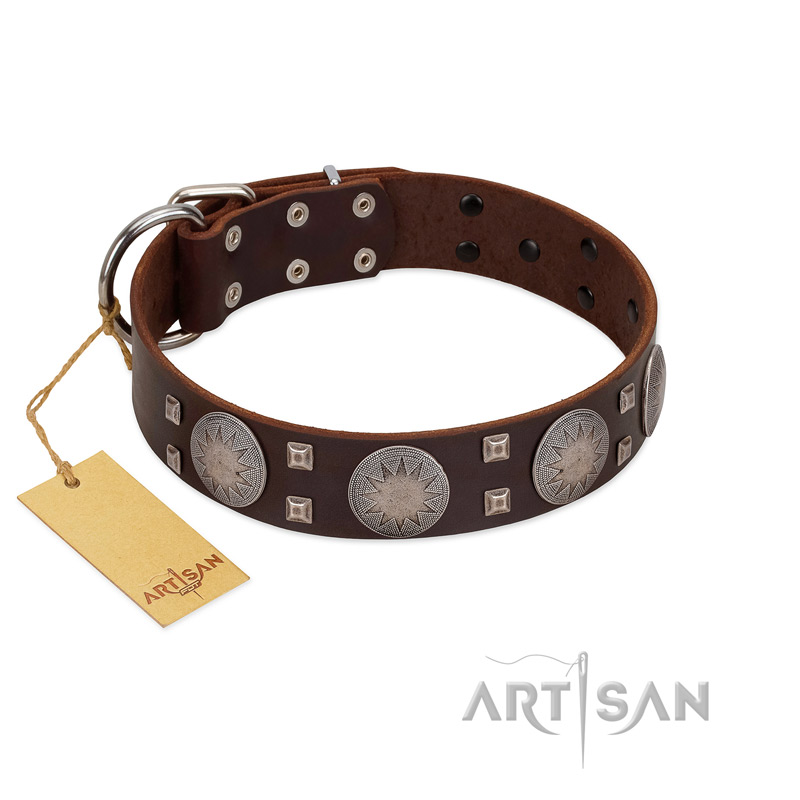 "Sun in Barchans" Modern FDT Artisan Brown Leather Belgian Malinois Collar with Engraved Stars on Round Plates and Studs - Click Image to Close