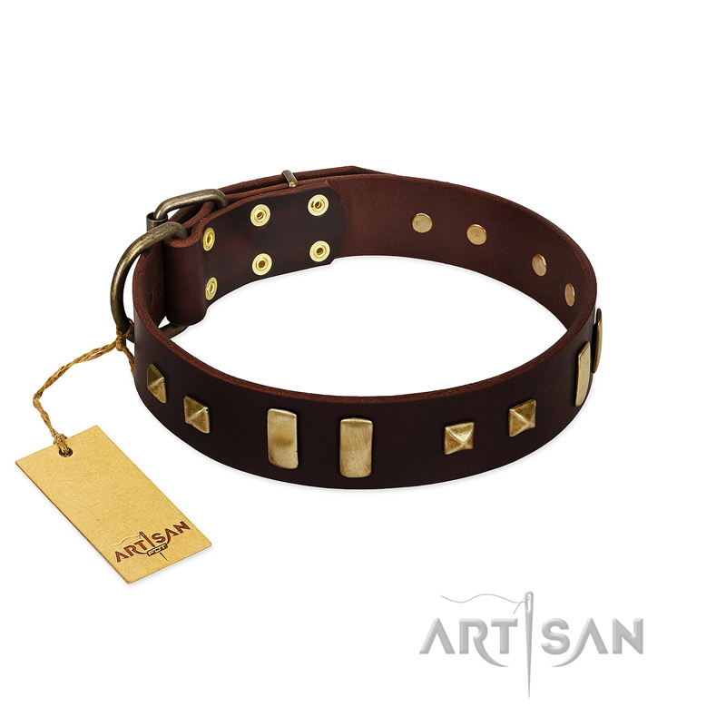 "Choco Delight" FDT Artisan Brown Leather Belgian Malinois Collar with Old Bronze-like Plates and Studs