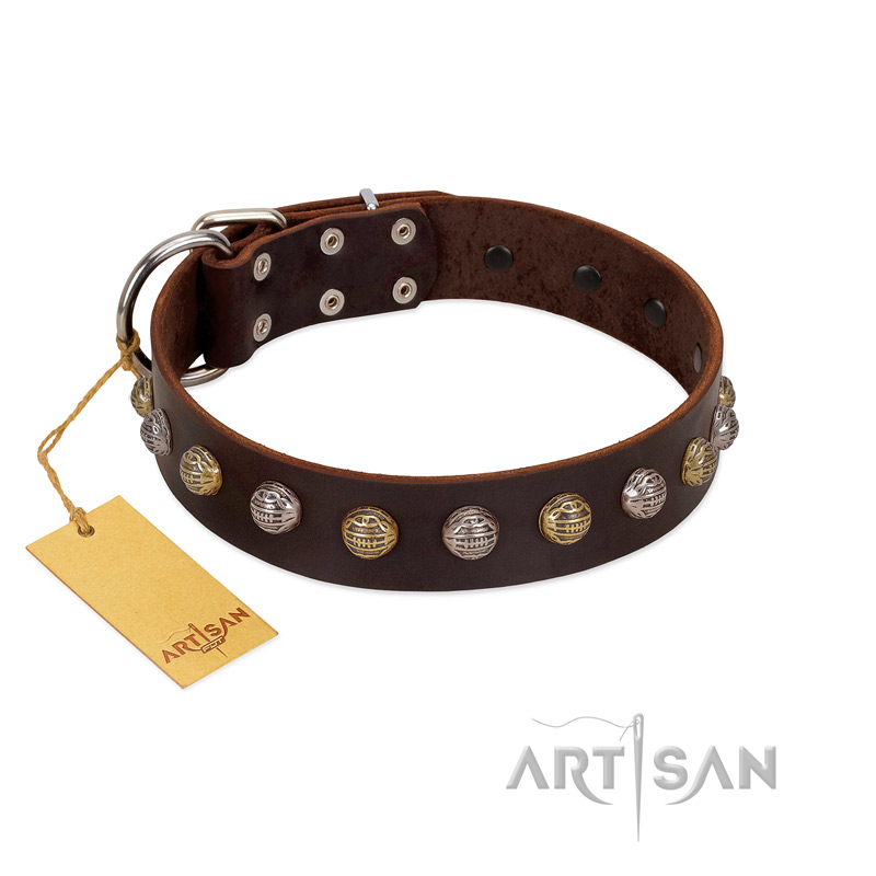 "Gape Buster" FDT Artisan Brown Leather Belgian Malinois Collar with One Row of Studs