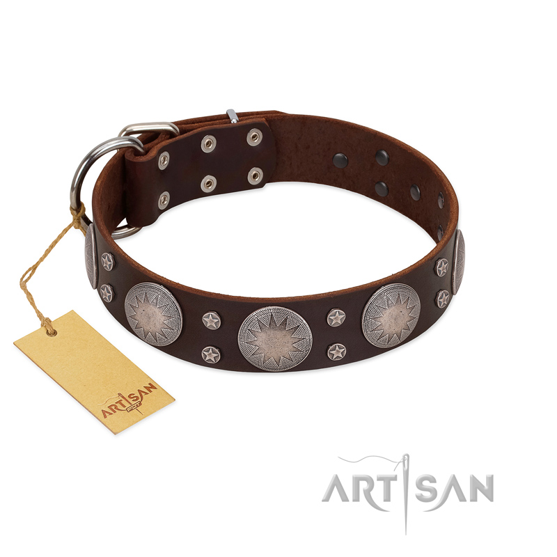 "Imperial Legate" FDT Artisan Brown Leather Belgian Malinois Collar with Big Round Plates