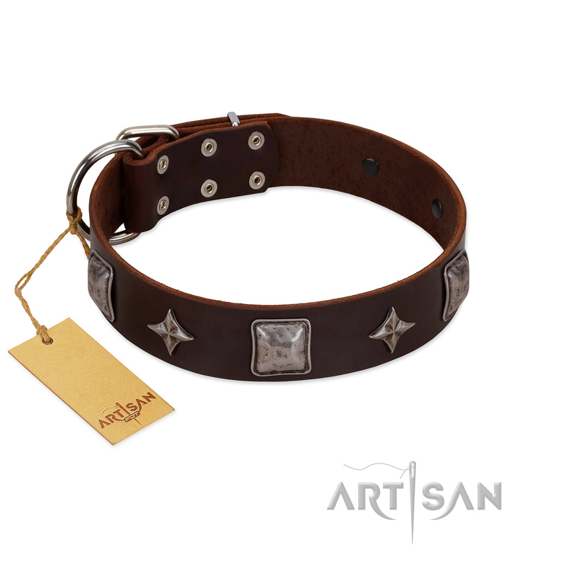 "Cold Star" Designer FDT Artisan Brown Leather Belgian Malinois Collar with Silver-Like Adornments