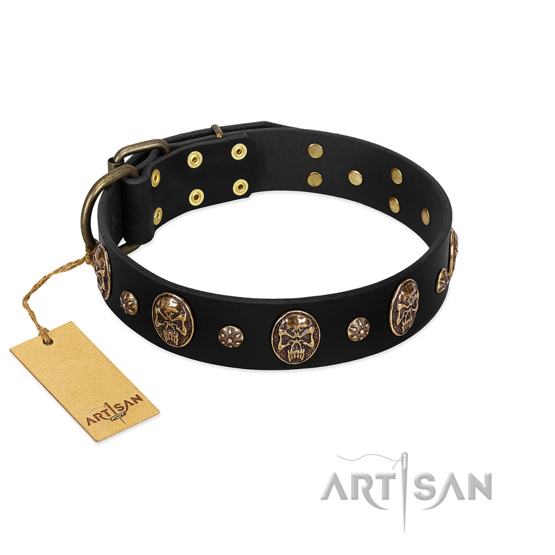 Pirate's Spell' FDT Artisan Black Leather Belgian Malinois Collar with Engraved Studs and Medallions
