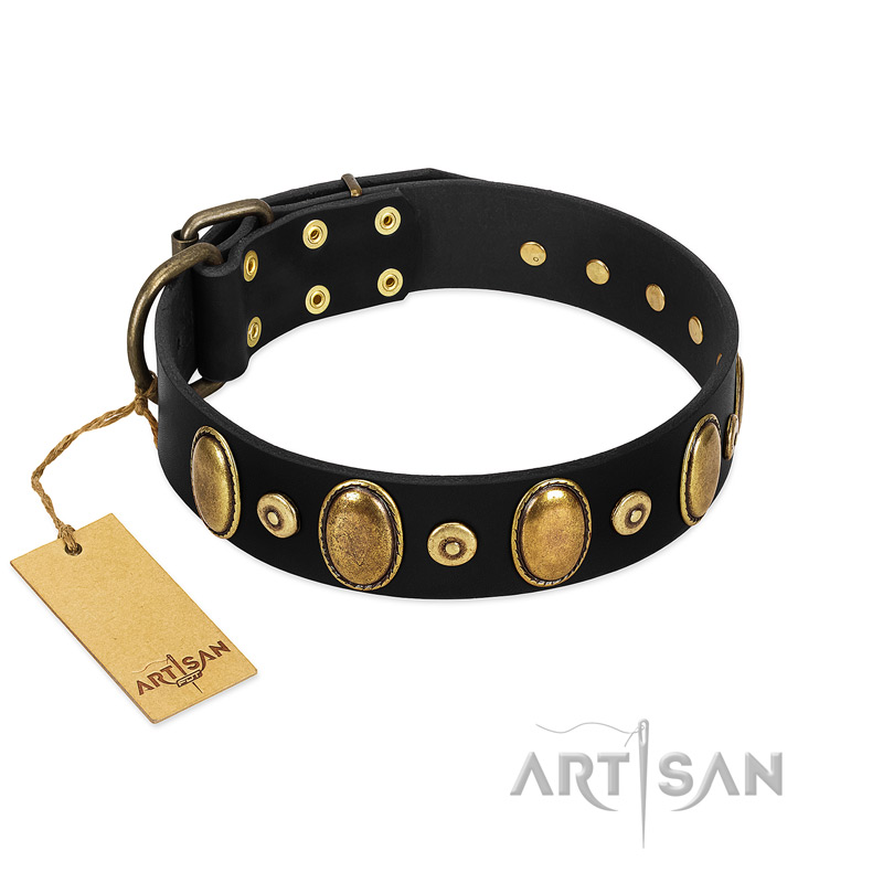 "Venerable Pawty" FDT Artisan Black Leather Belgian Malinois Collar with Old Bronze-like Ovals and Studs