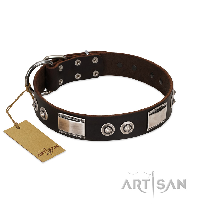 "Baller Status" FDT Artisan Brown Leather Belgian Malinois Collar Adorned with a Set of Chrome Plated Studs and Plates - Click Image to Close