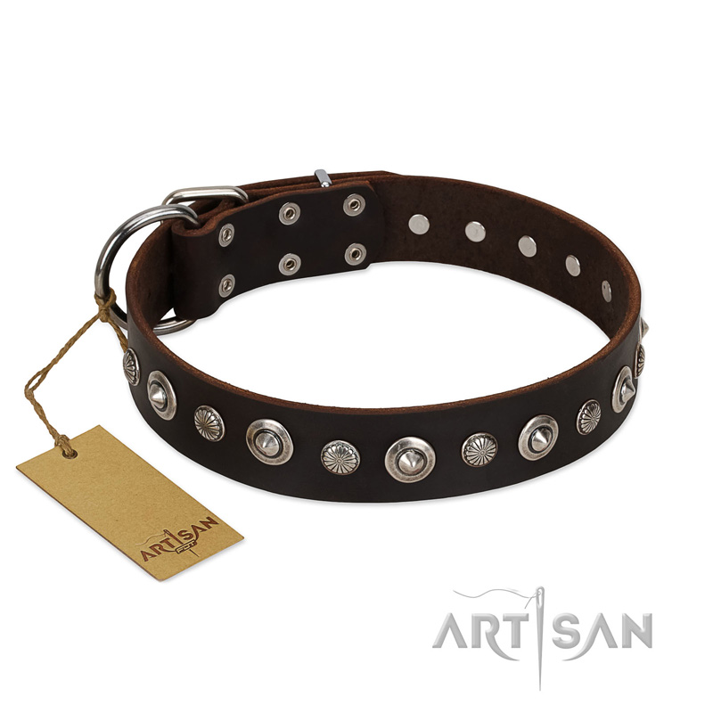 "Gorgeous Shields" FDT Artisan Brown Leather Belgian Malinois Collar with Old Silver-like Circles and Small Camomiles