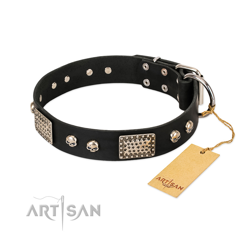 "Pirates Gold" FDT Artisan Black Leather Belgian Malinois Collar with Old Silver Look Plates and Skulls