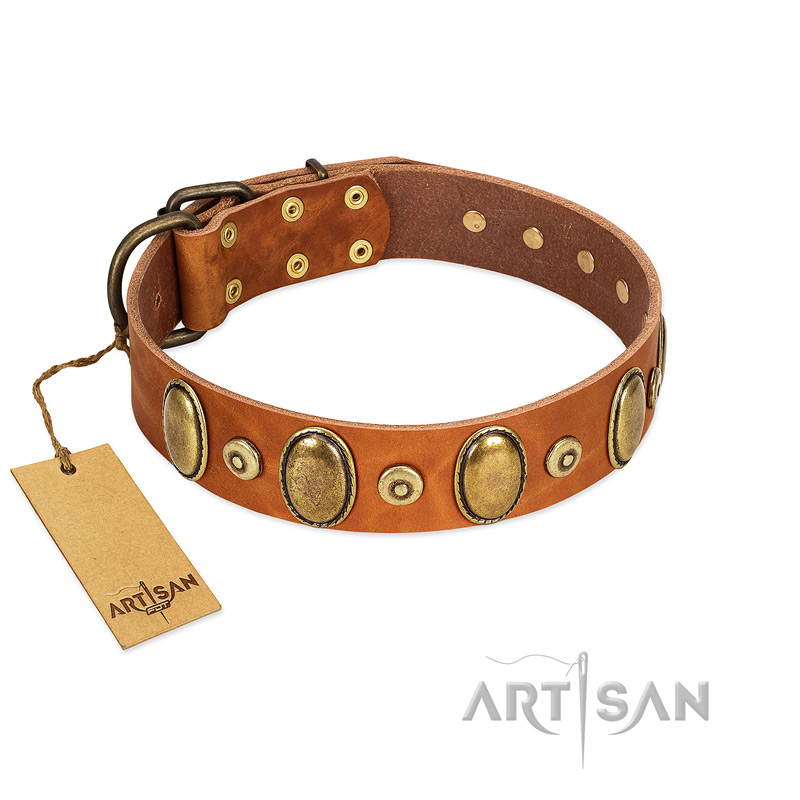 "Crystal Sand" FDT Artisan Tan Leather Belgian Malinois Collar with Vintage Looking Oval and Round Studs