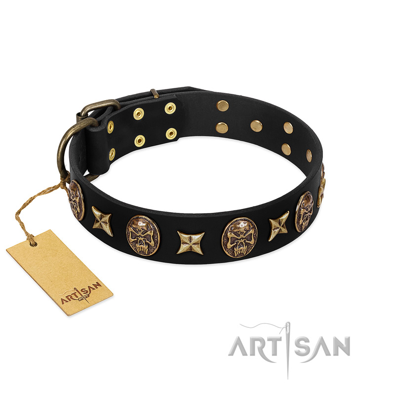 "Starry Saga" FDT Artisan Black Leather Belgian Malinois Collar with Stars and Skulls
