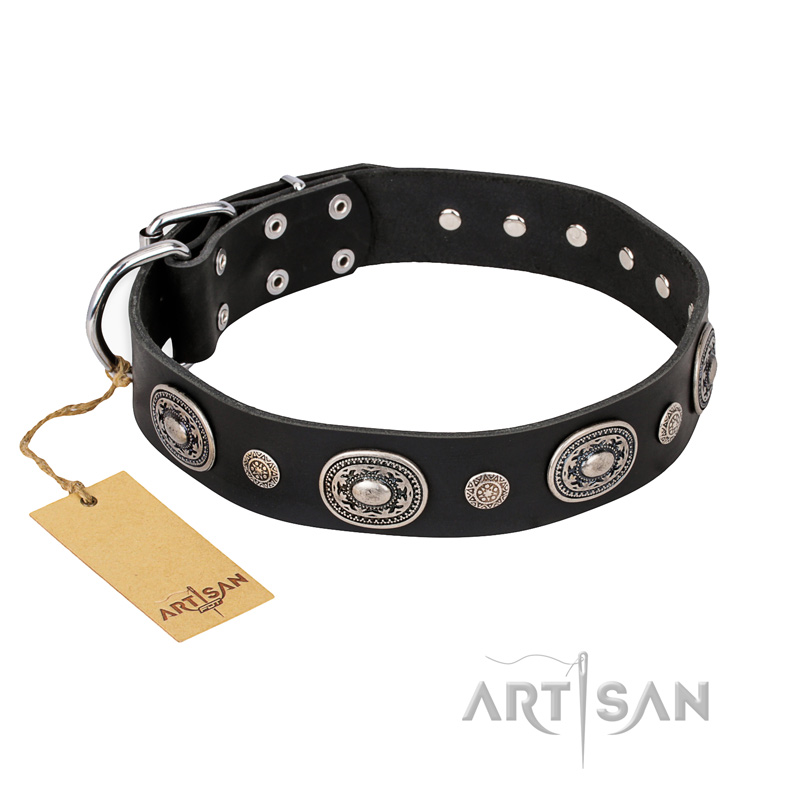 "Black Tie" FDT Artisan Leather Belgian Malinois Collar with Old Silver-like Decorations