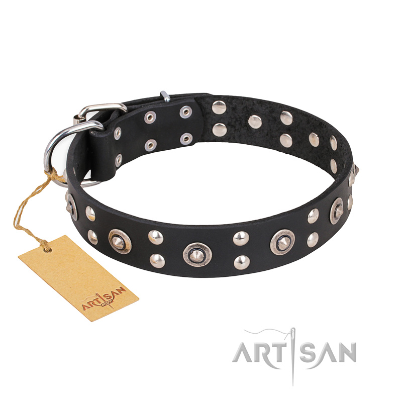 "Refined Essence" FDT Artisan Black Leather Belgian Malinois Collar with Silvery Studs - Click Image to Close