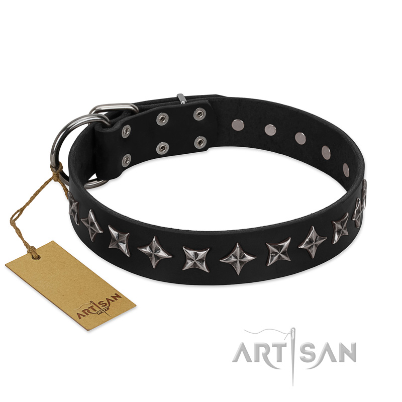 "Lights-out" FDT Artisan Black Leather Belgian Malinois Collar with Silver-like Set of Stars