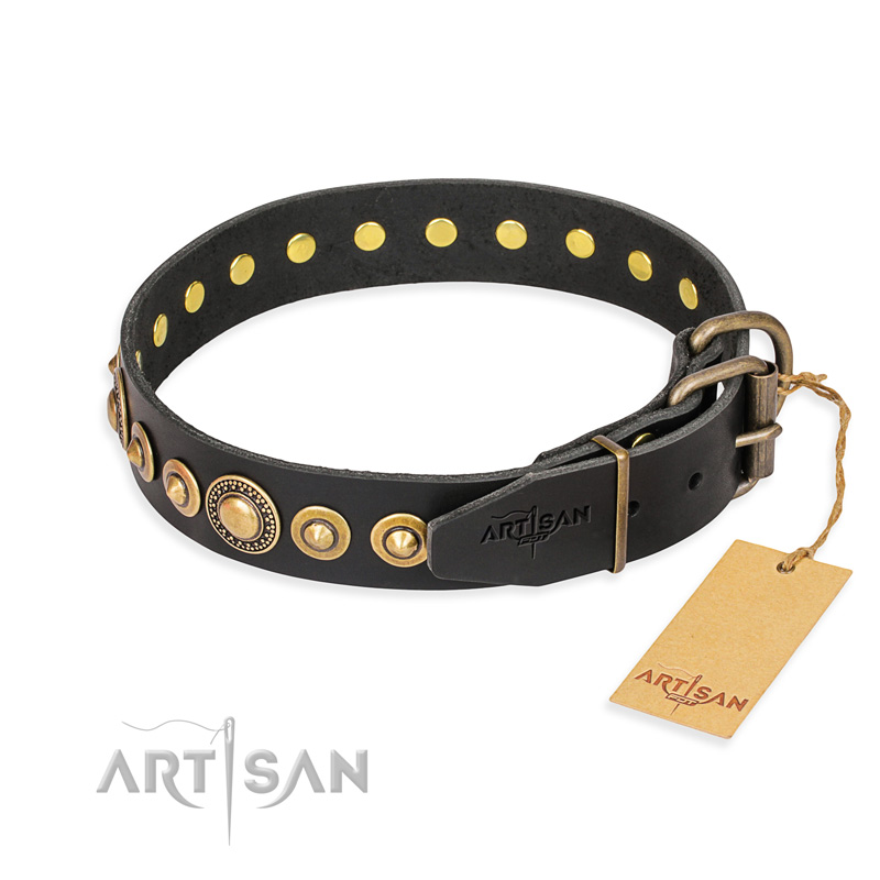 "Gold Mine" FDT Artisan Black Leather Belgian Malinois Collar with Amazing Bronze-Plated Round Studs