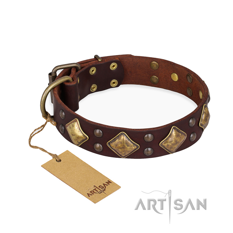 "Golden Square" FDT Artisan Brown Leather Belgian Malinois Collar with Large Squares - Click Image to Close
