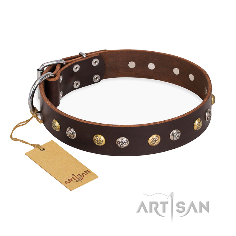 "Rare Flower" FDT Artisan Brown Leather Belgian Malinois Collar Adorned with Old-look Hemisphere Studs