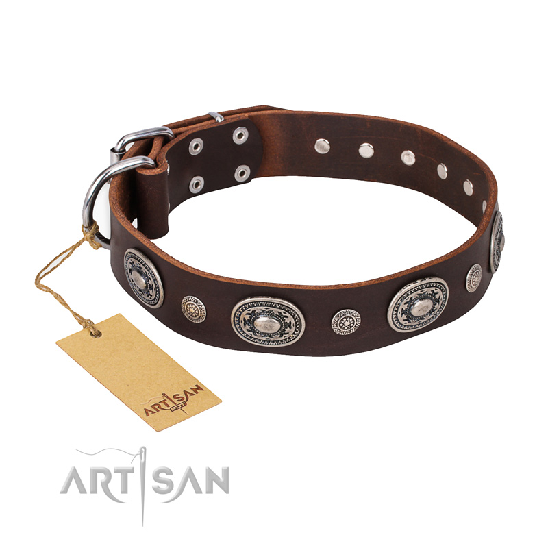 "Extra Pizzazz" FDT Artisan Adorned Brown Leather Belgian Malinois Collar