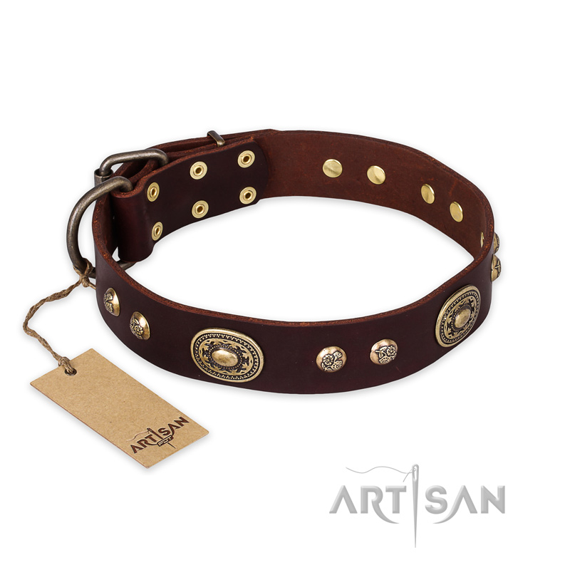 "Breath of Elegance" FDT Artisan Decorated with Plates Brown Leather Belgian Malinois Collar - Click Image to Close