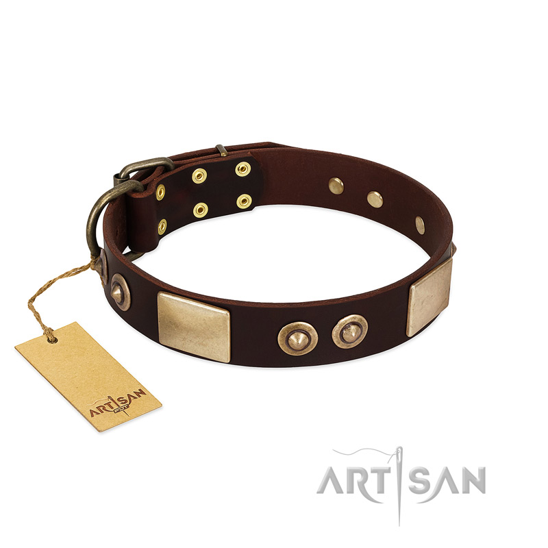 "Sense of Freedom" FDT Artisan Brown Leather Belgian Malinois Collar with Old Bronze-Plated Studs and Plates